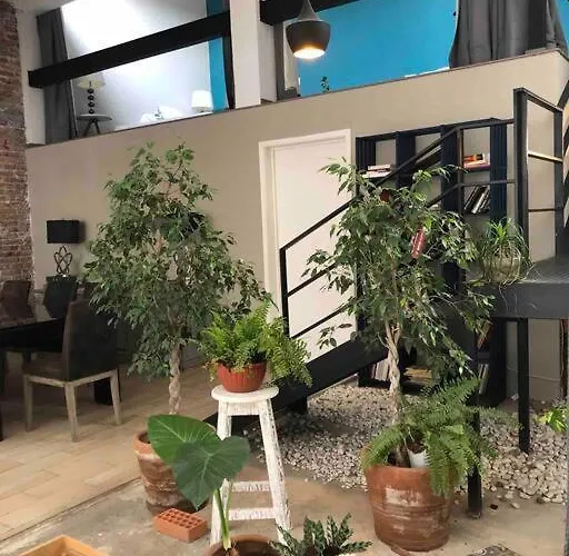 Apartamento Loft Condesa México DF